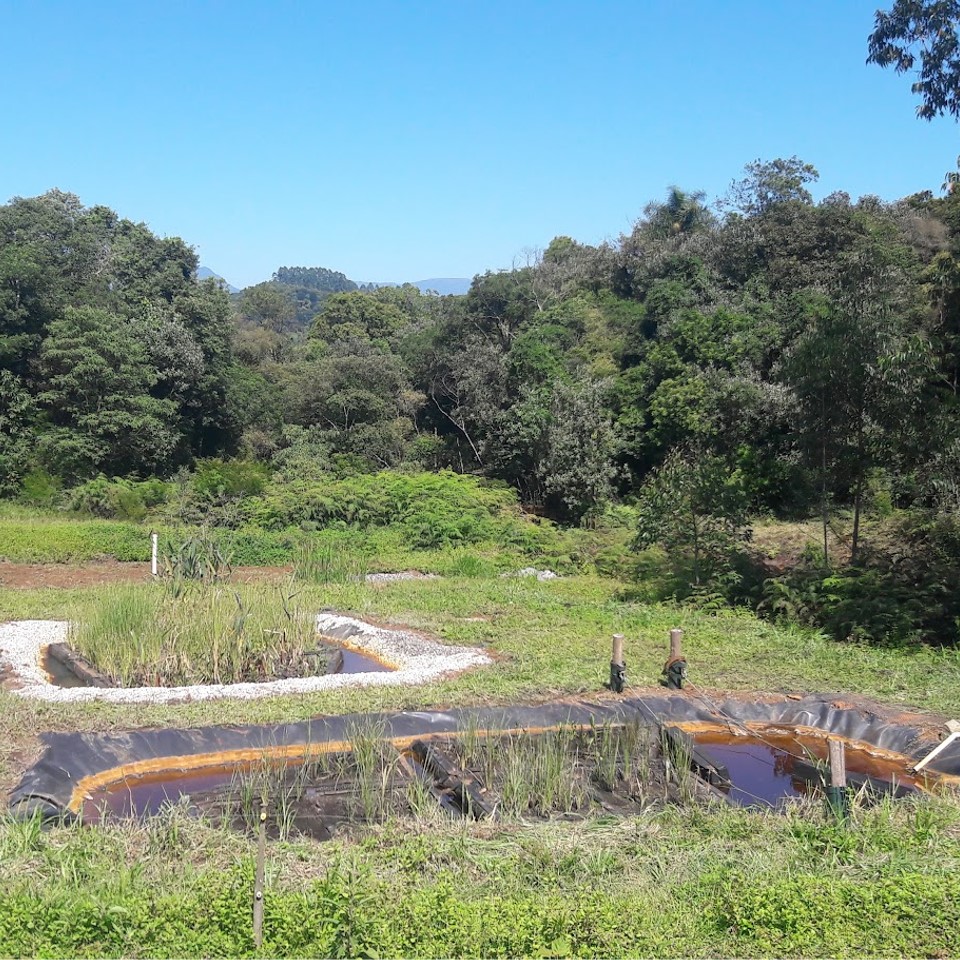 Técnico em campo junto a módulo vegetado de tratamento passivo de drenagem ácida de mina em antiga área de mineração de carvão, região carbonífera de Santa Catarina